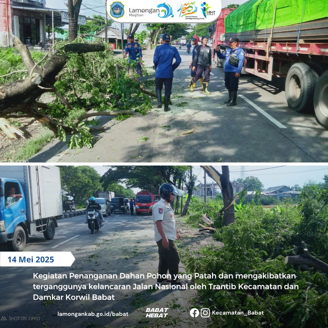 Penanganan Dahan pohon yang patah dan mengakibatkan terganggunya kelancaran jalan nasional oleh Trantib Kecamatan dan Damkar Korwil Babat