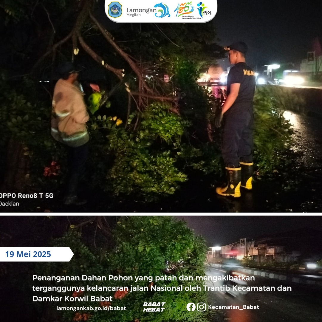 Penanganan Cepat Dahan Pohon Tumbang di Timur Pasar Agrobis Babat