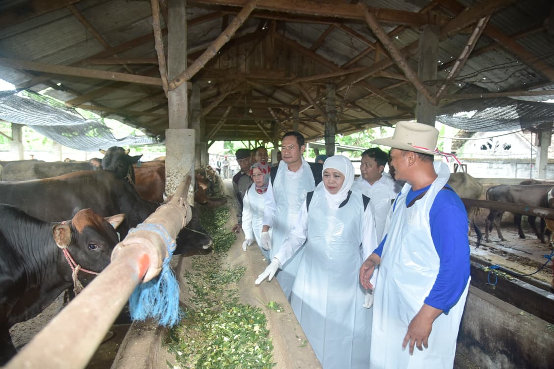 Foto: Jelang Iduladha, Bupati Yes Dampingi Gubernur Khofifah Tinjau Hewan Kurban dan Gelar Pasar Murah di Kedungpring