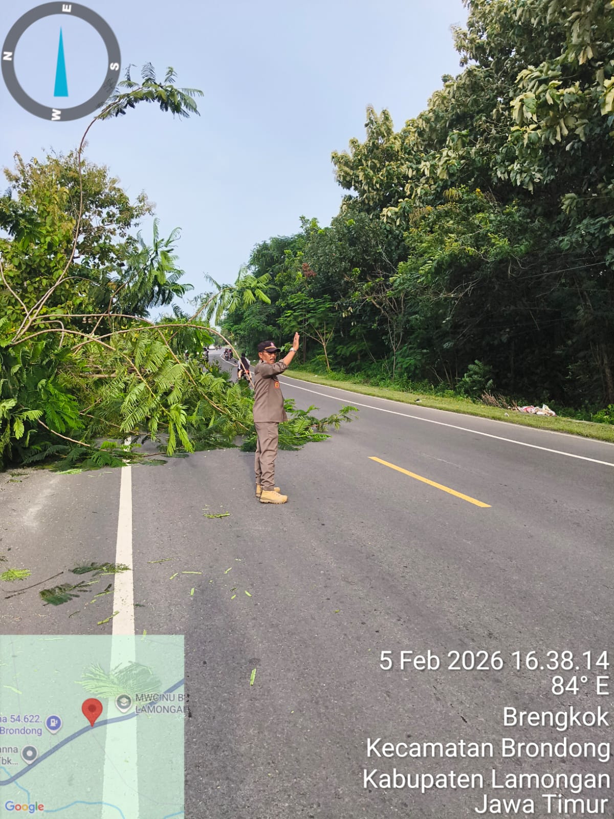 Foto: PERAPIAN POHON DI DESA BRENGKOK TERUS DIGENCARKAN HINGGA AWAL RAMADAN DEMI KESELAMATAN WILAYAH BRONDONG