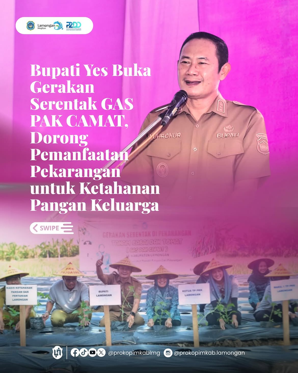 Foto: GERAKAN SERENTAK DI PEKARANGAN TANAM CABAI DAN TOMAT (GAS PAK CAMAT)