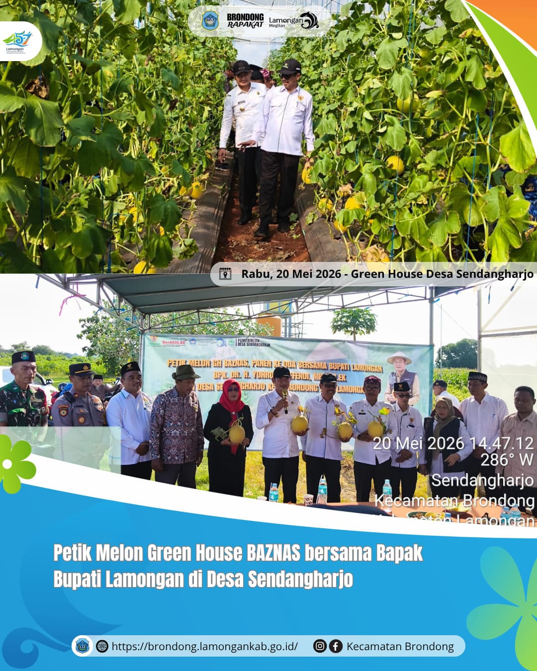 Foto: PANEN MELON GREEN HOUSE BAZNAS DESA SENDANGHARJO YANG KE 2 BERSAMA BAPAK BUPATI LAMONGAN