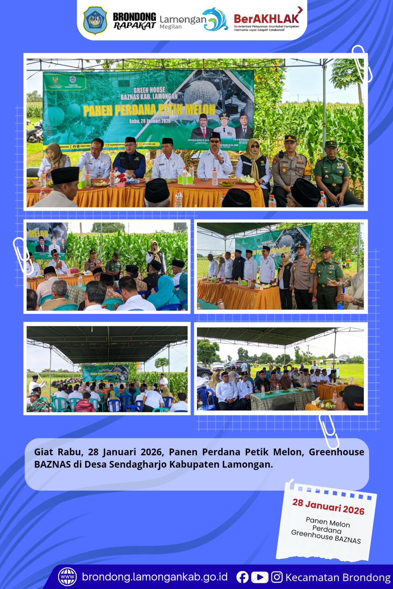 Foto: PANEN PERDANA MELON GREENHOUSE BAZNAS DI DESA SENDANGHARJO