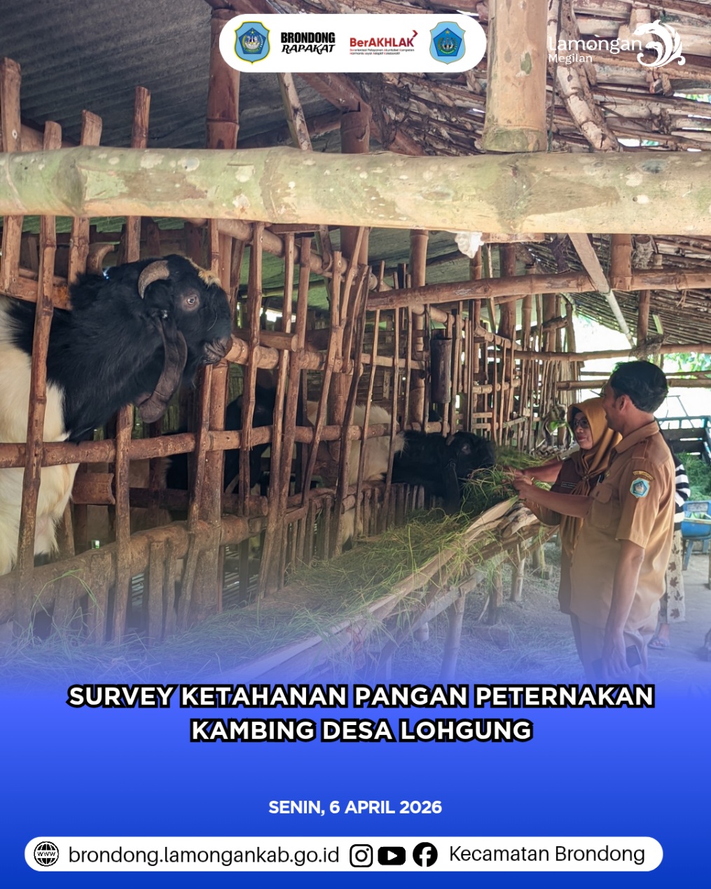 Foto: SURVEI PENGEMBANGAN PETERNAKAN KAMBING DALAM PROGRAM KETAHANAN PANGAN DI DESA LOHGUNG KECAMATAN BRONDONG KABUPATEN LAMONGAN