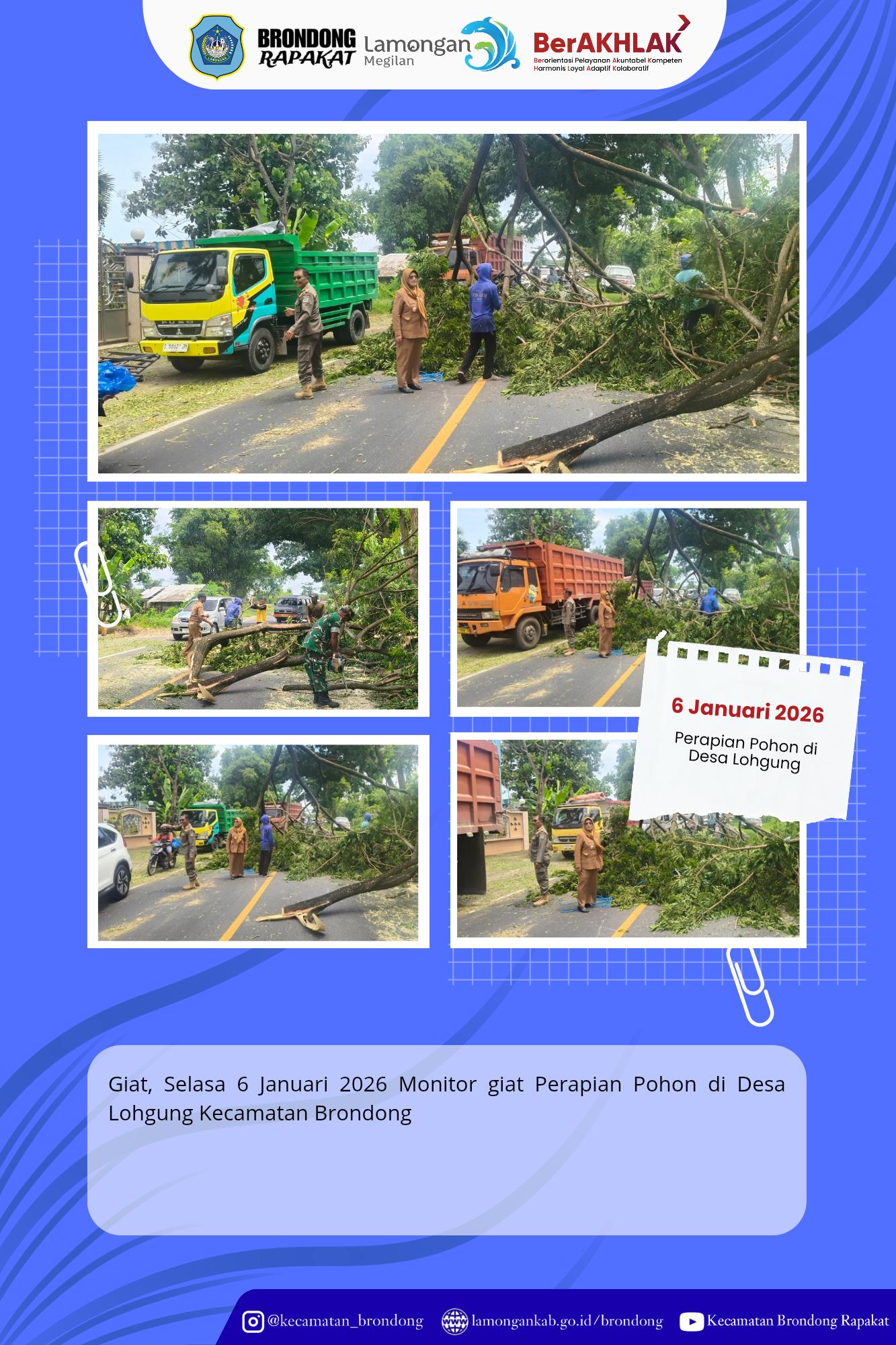 Foto: ANTISIPASI CUACA EKSTREM, IBU CAMAT BRONDONG MONITOR PENEBANGAN POHON RAWAN TUMBANG