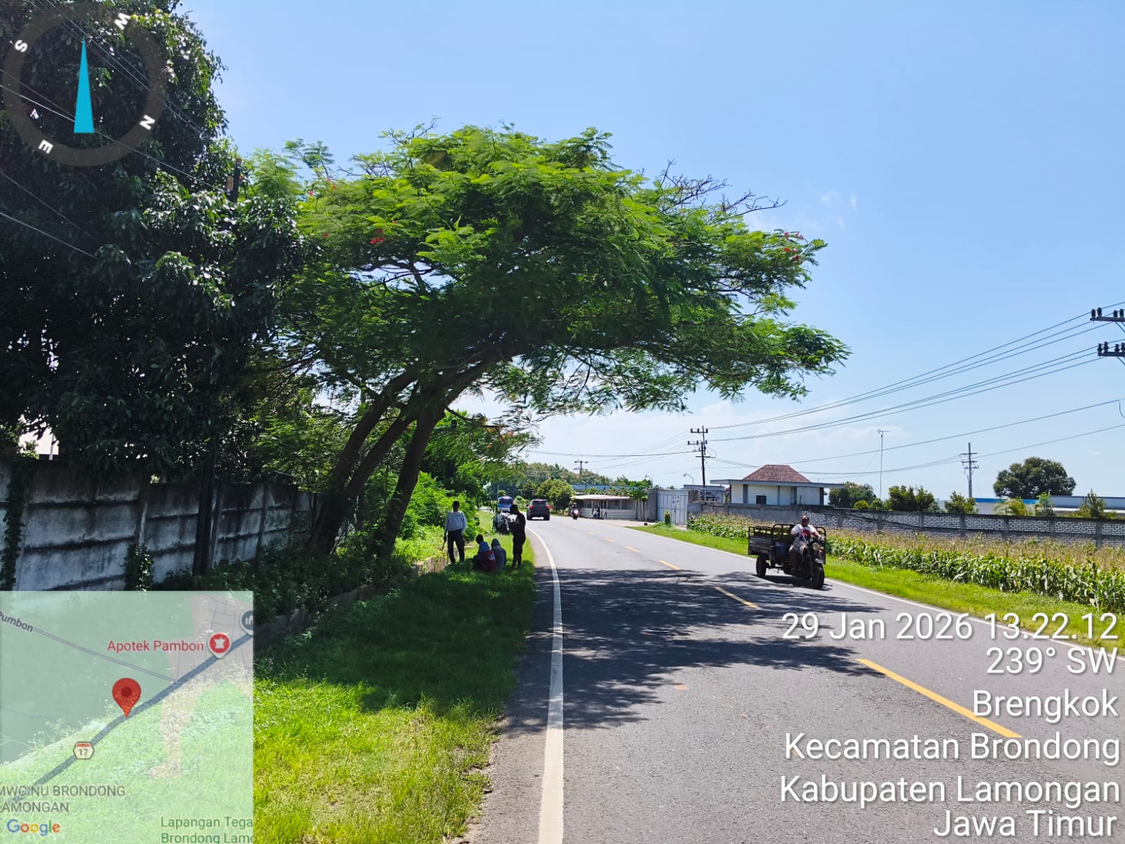 Foto: ANTISIPASI HUJAN EKSTREM, PERAPIAN POHON DI KAWASAN PANTURA BRONDONG TERUS DIGENCARKAN
