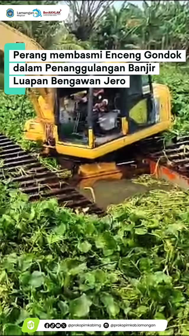 Foto: PEMUSNAHAN ENCENG GONDOK BENGAWAN JERO