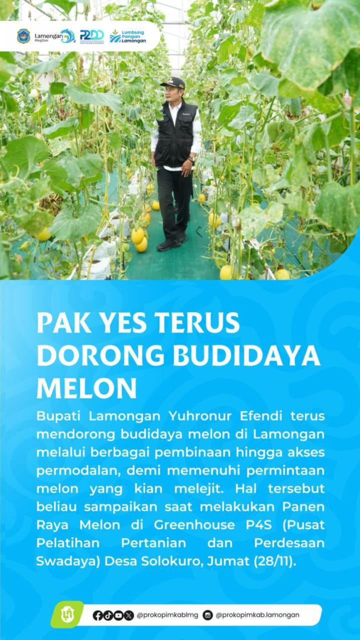 Foto: Pak Yes Dorong Budidaya Melon di Lamongan