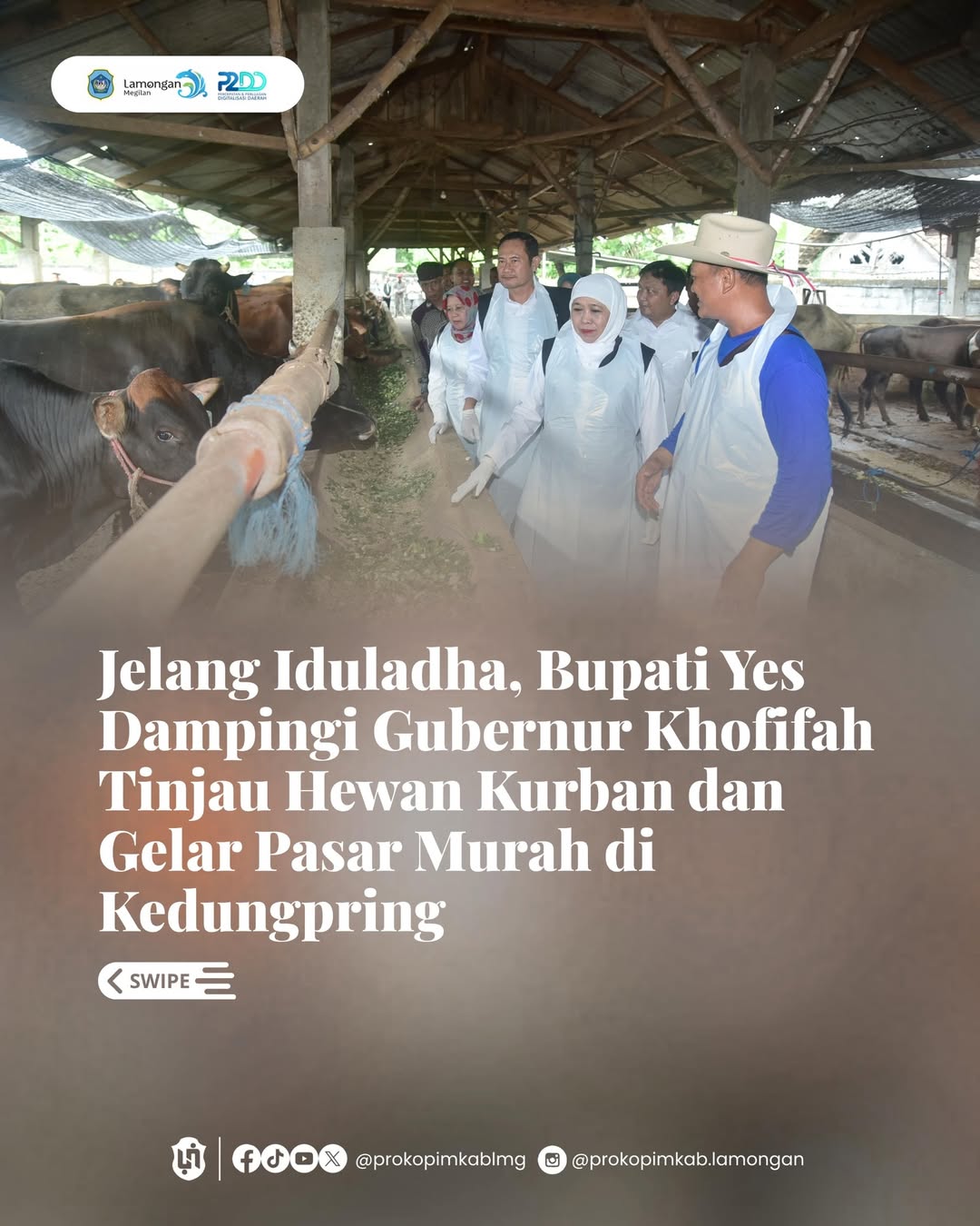 Foto: KUNJUNGAN KERJA GUBERNUR JATIM DI KOPERASI TERNAK LAMONGAN