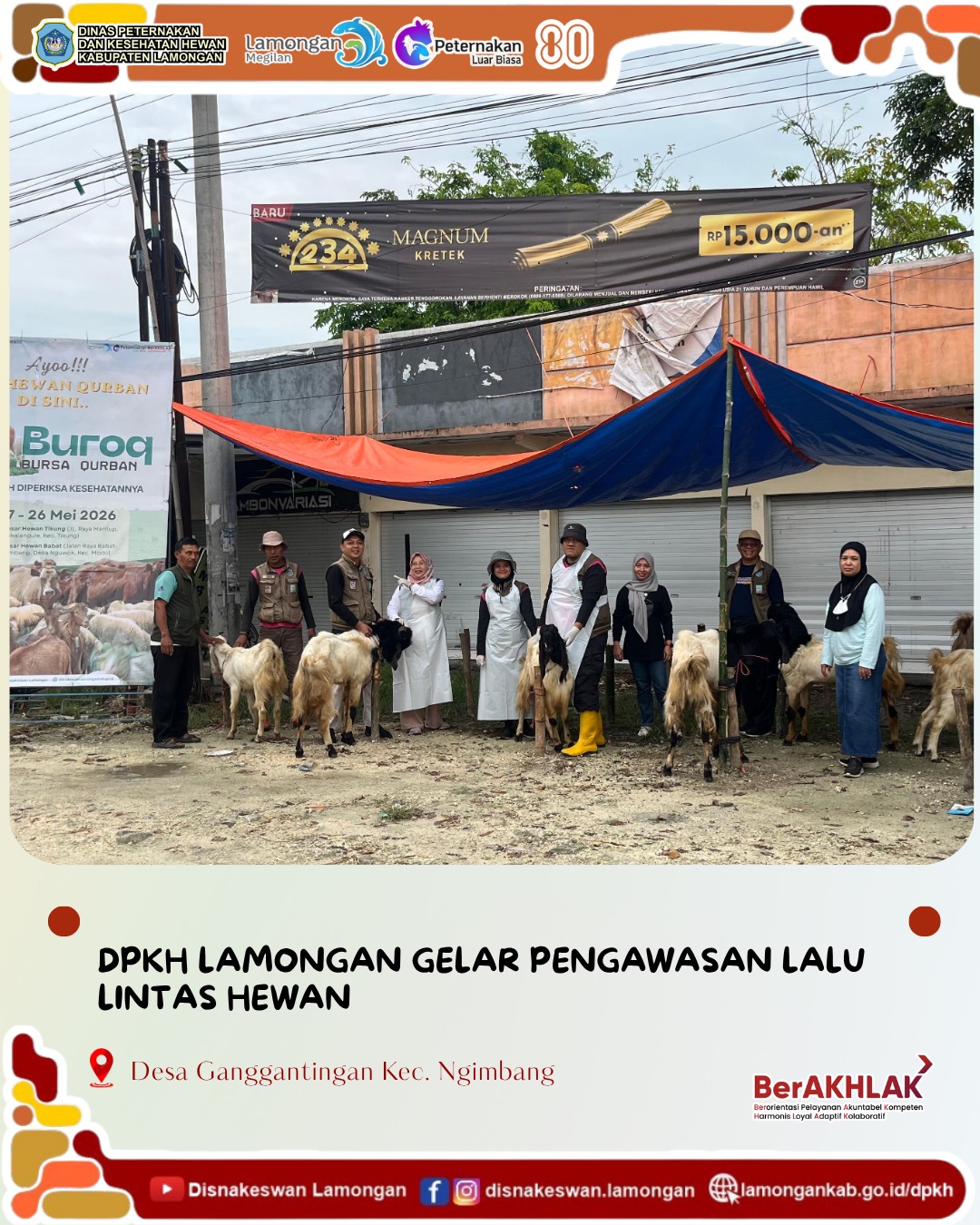 Foto: Pengawasan lalu lintas hewan terus diperketat di wilayah perbatasan guna menjaga kesehatan hewan dan mencegah penyebaran penyakit menular.