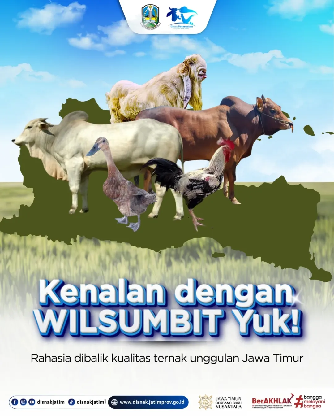 Foto: Haloo sobat ternak 👋🏼! Pernah denger istilah Wilsumbit?, penasaran apa itu Wilsumbit? yuk simak penjelasan kita kali ini tentang wilsumbit!