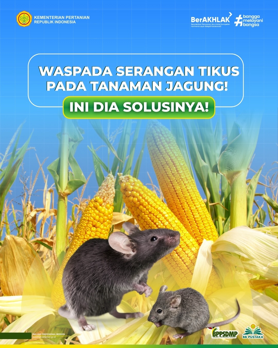 Foto: Halo Sobatani 👋🏻