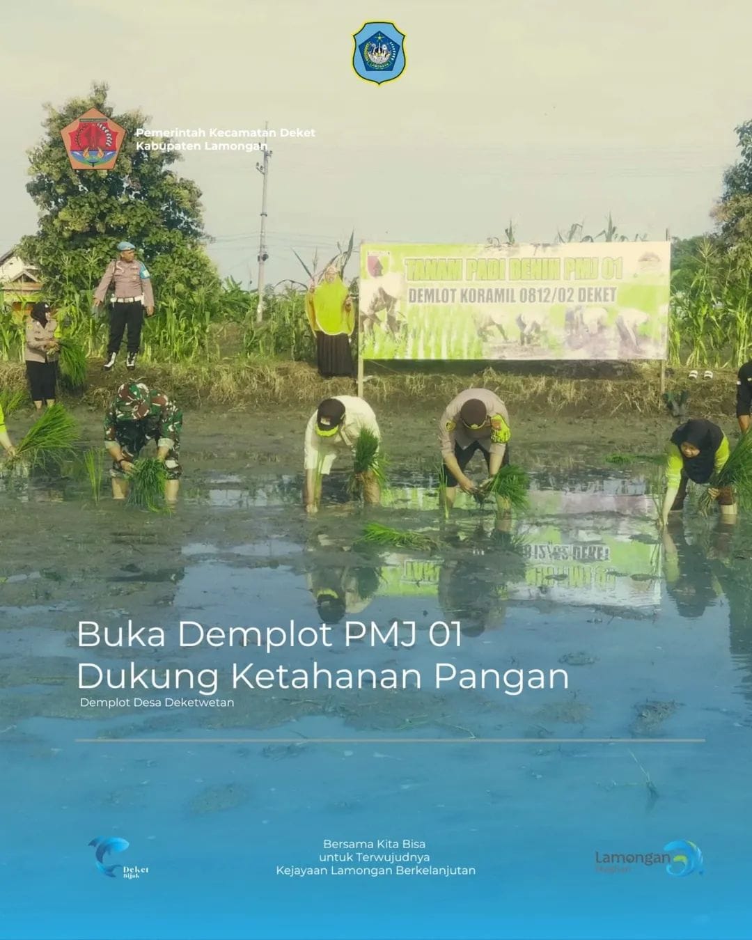 TANAM PADI