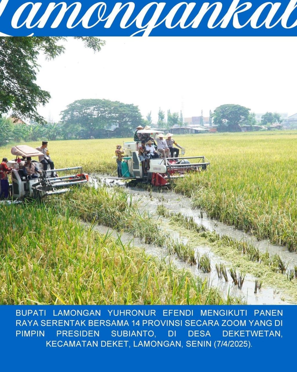 PANEN RAYA