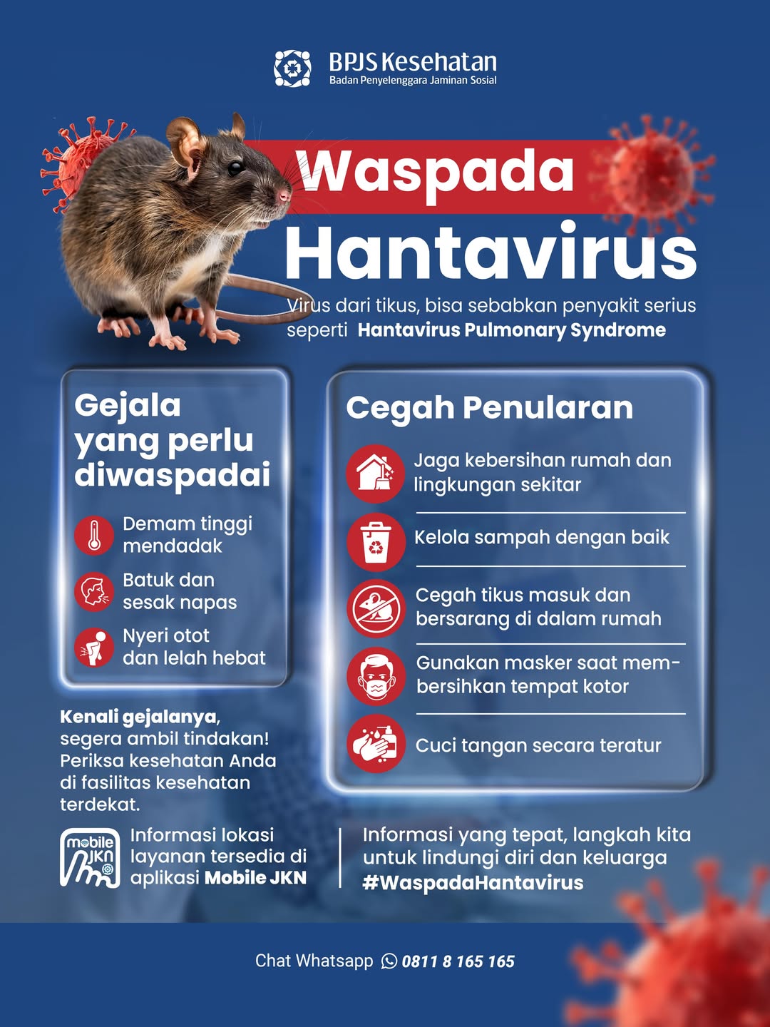 Foto: ⚠️ WASPADA HANTAVIRUS ⚠️