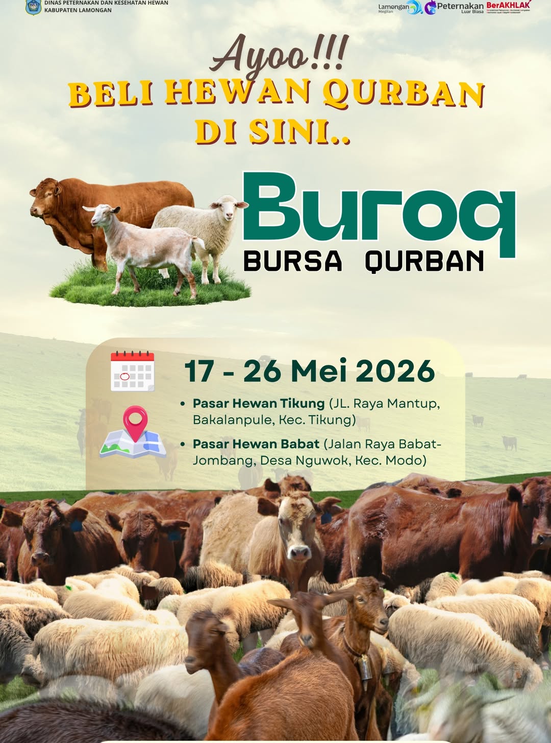 Foto: 🐄🐐 Ayo Beli Hewan Qurban di BURAQ (Bursa Qurban) Kabupaten Lamongan! 🌙✨