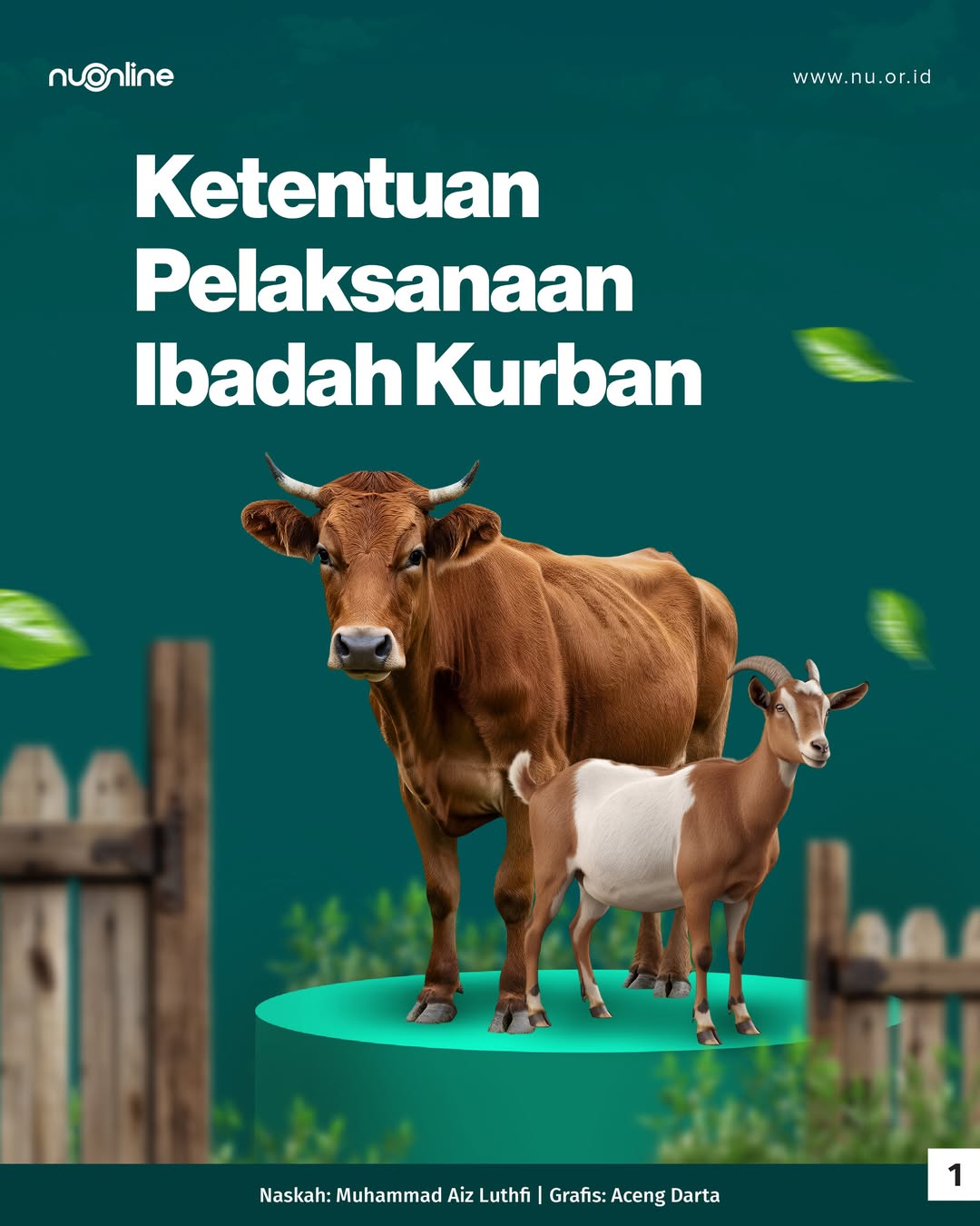 Foto: Ibadah kurban hukumnya adalah sunnah muakkad, atau sunnah yang dikuatkan