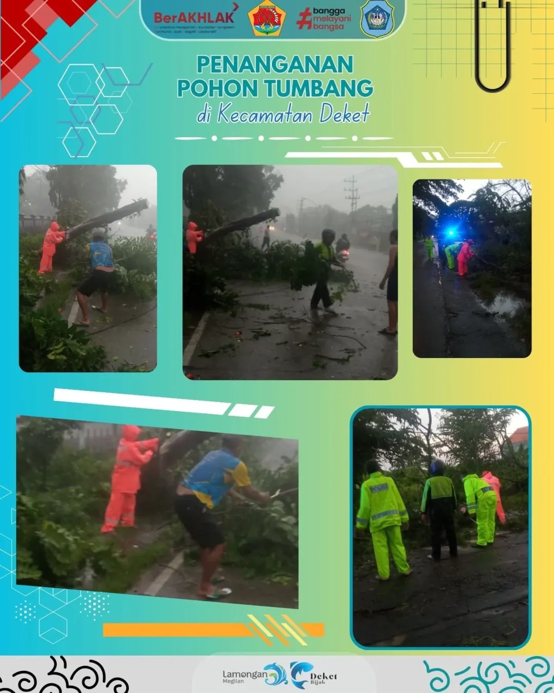 Foto: PENANGANAN POHON TUMBANG