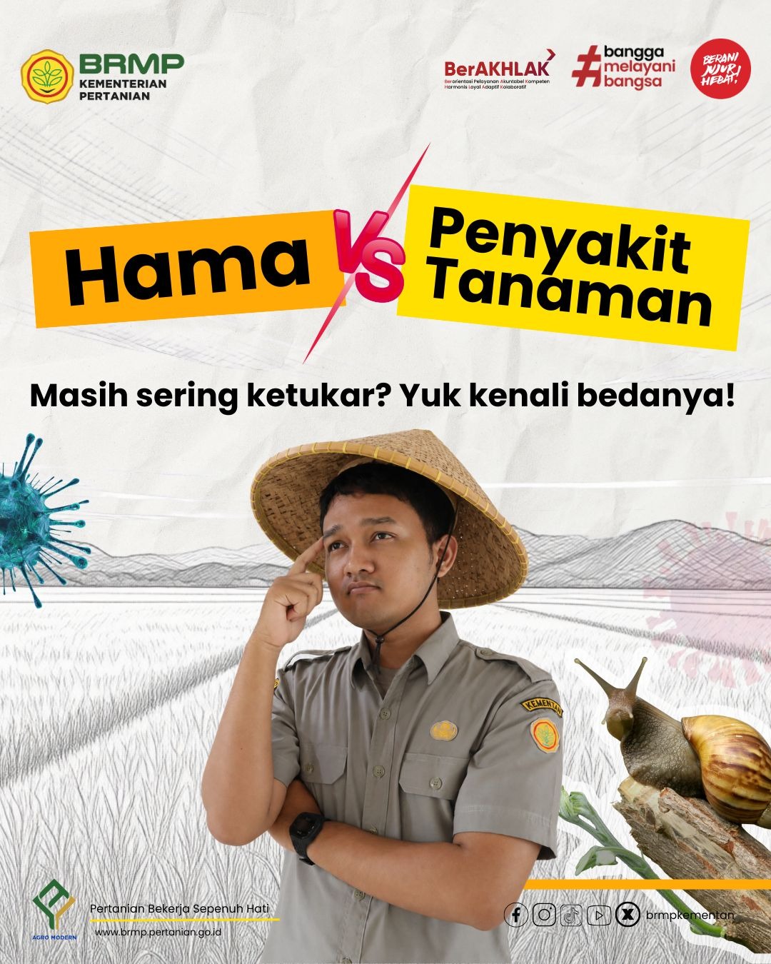 Foto: Tanaman yang rusak belum tentu disebabkan oleh hal yang sama.