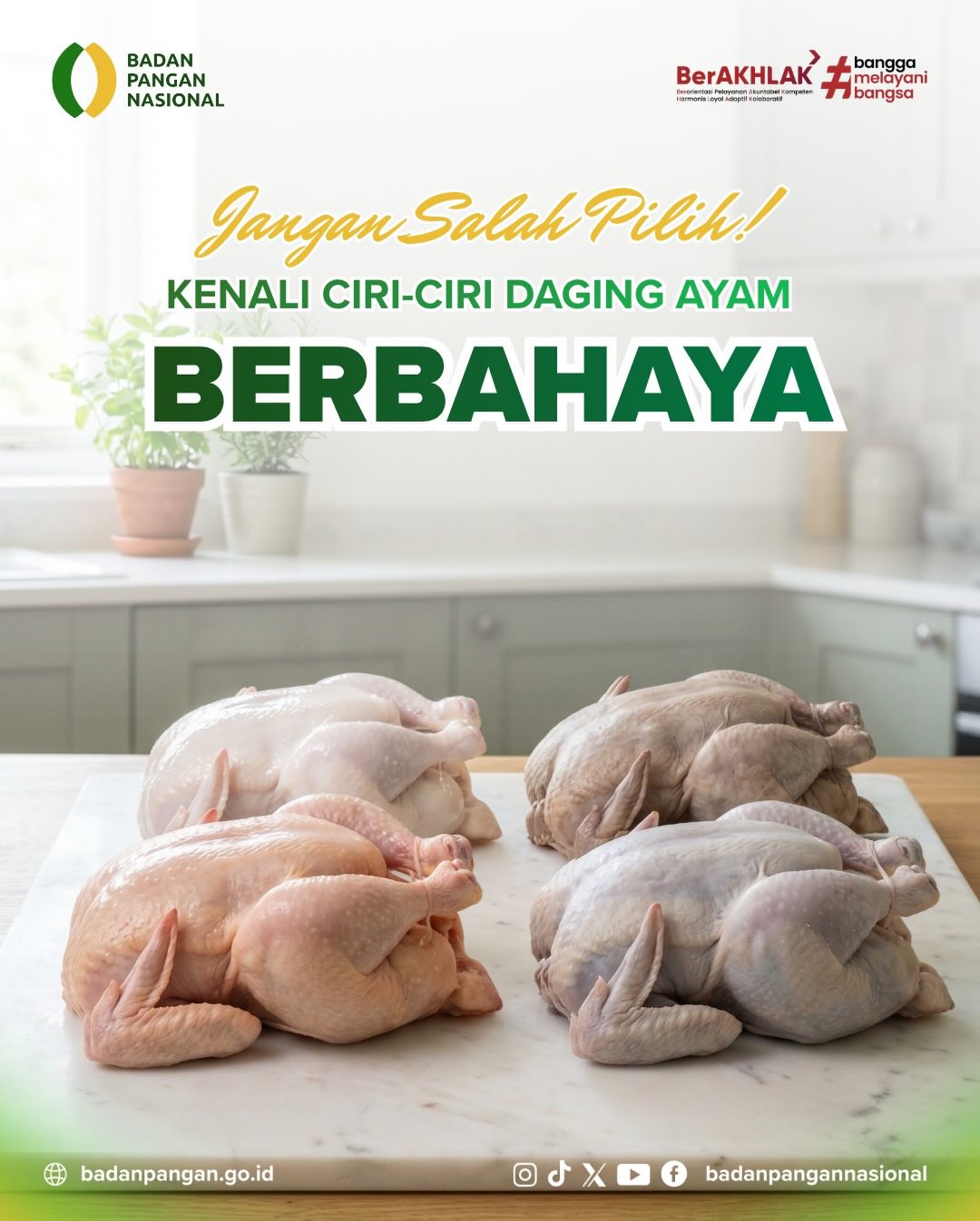 Foto: ⚠️ WASPADA!! ⚠️ TAMPILAN AYAM YANG TERLIHAT “SEMPURNA” DI PASAR SERINGKALI MENIPU.
