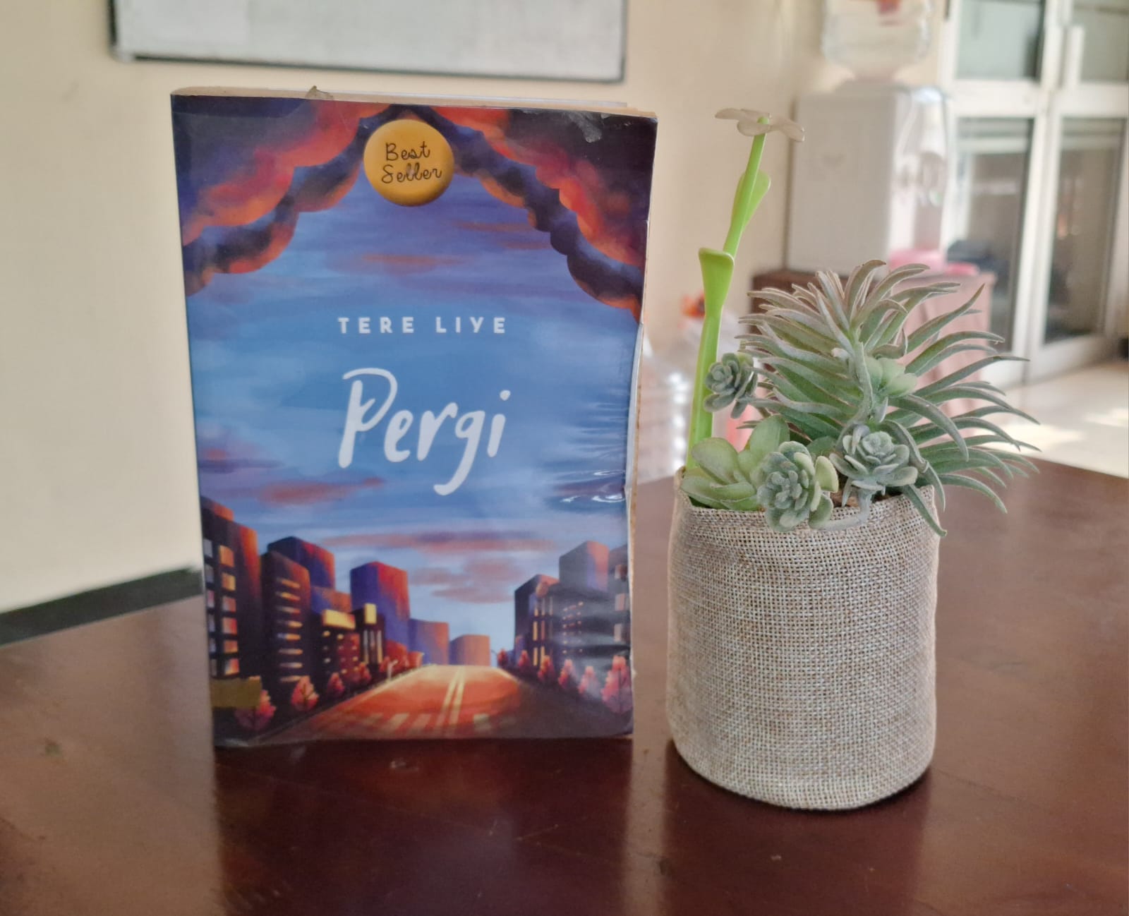REVIEW NOVEL PERGI KARYA TERE LIYE