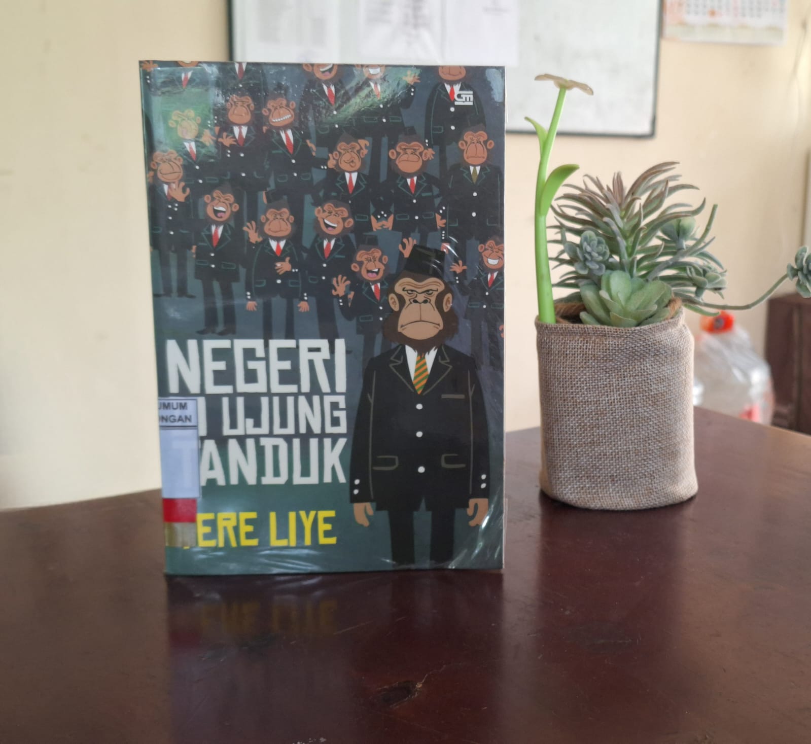 REVIEW NOVEL NEGERI DI UJUNG TANDUK KARYA TERE LIYE