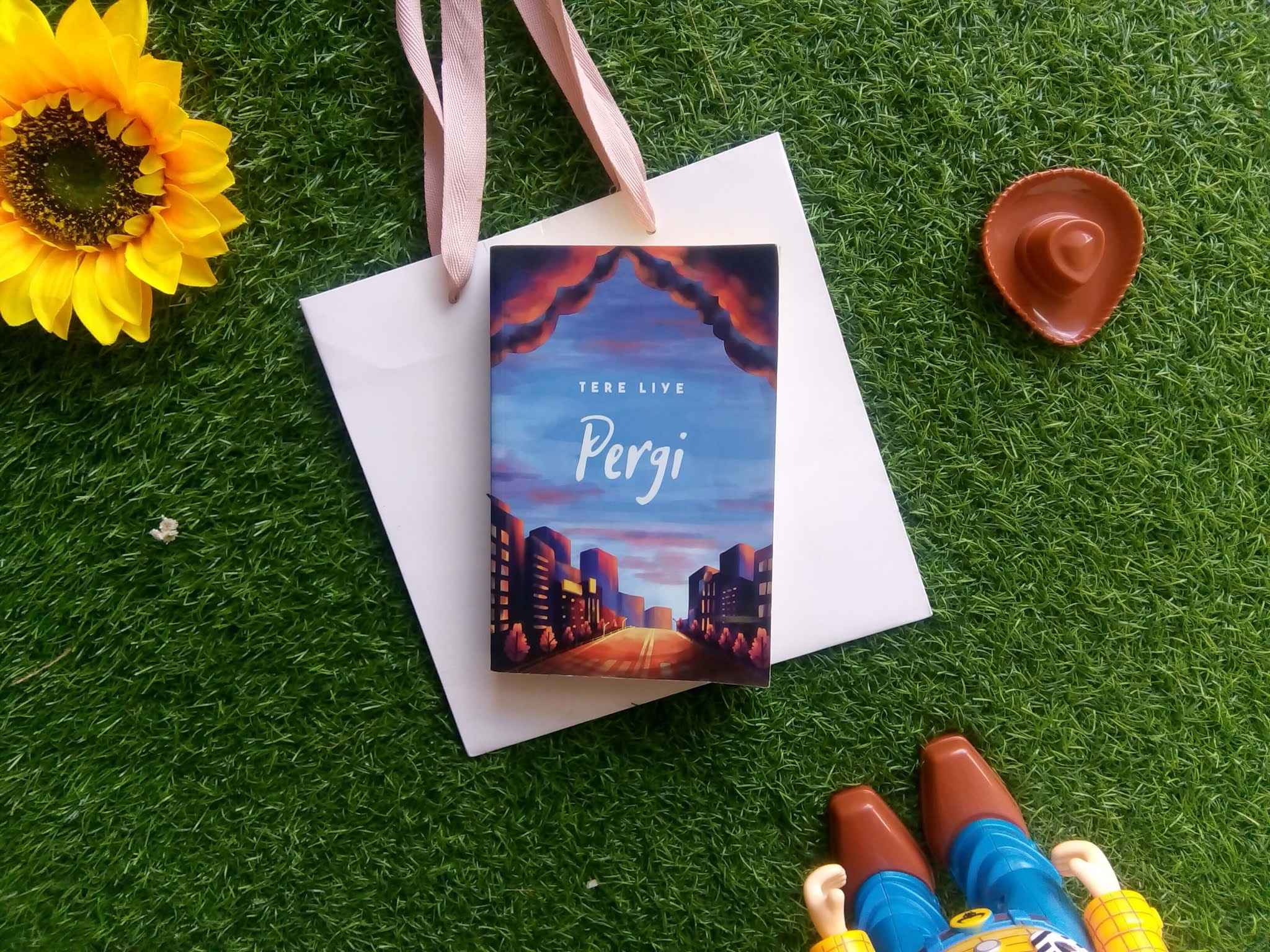 Review Buku PERGI Karya Tere Liye