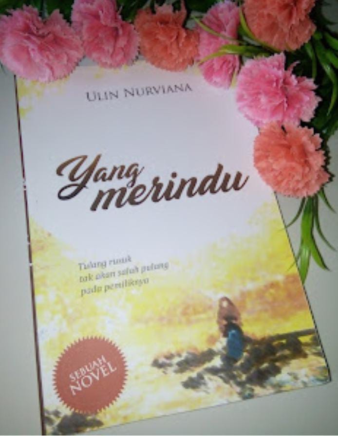 REVIEW NOVEL YANG MERINDU