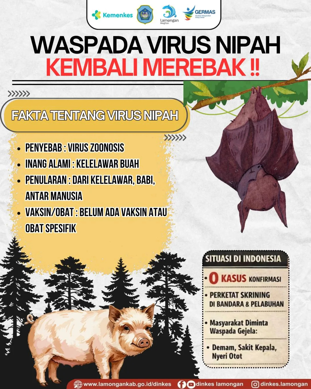 Foto: 🚨 Waspada Virus Nipah, Jangan Panik tapi Tetap Siaga!
