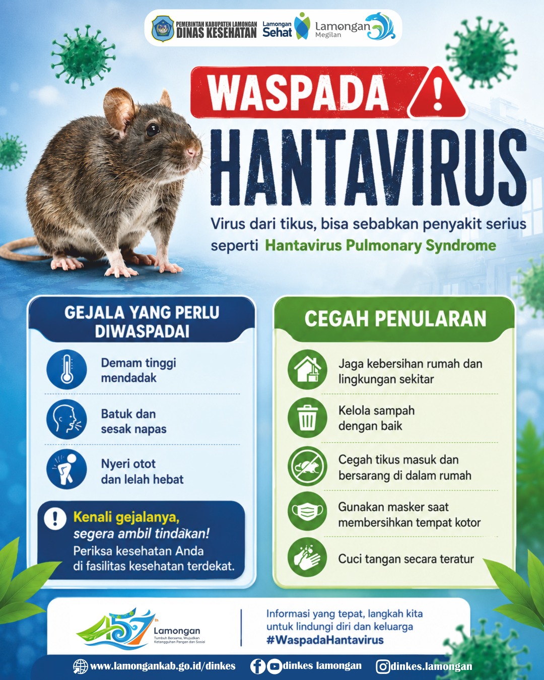 Foto: 🚨 Waspada Hantavirus! Kenali Gejala dan Cegah Penularannya 🐭
