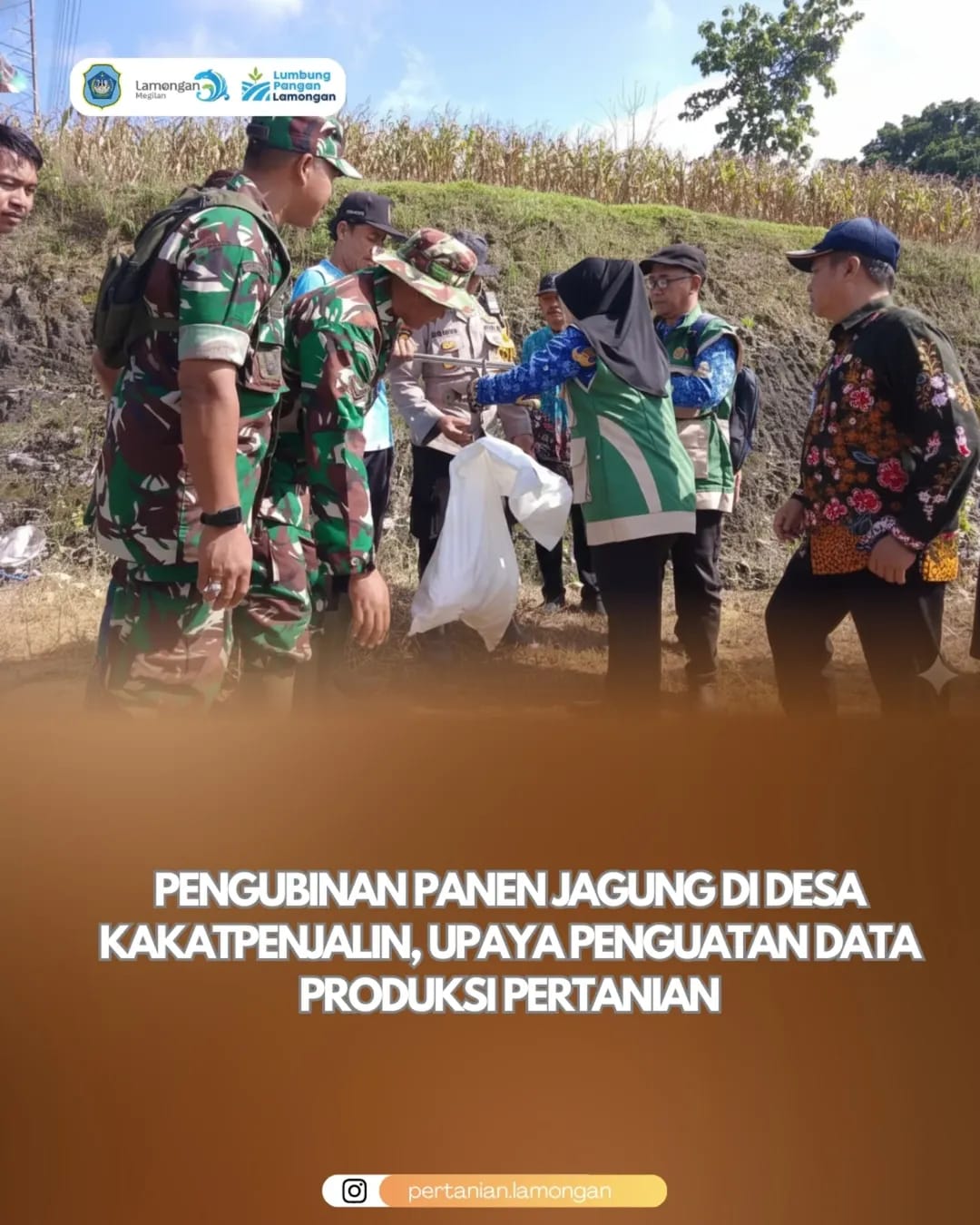 Pengubinan Panen Jagung di Desa Kakatpenjalin, Upaya Penguatan Data Produksi Pertanian