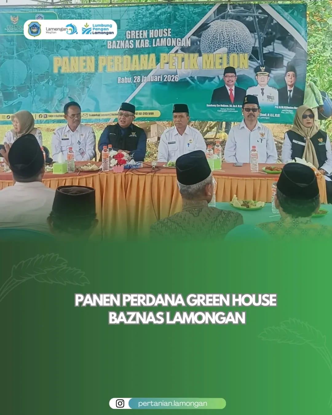 Panen Perdana Greenhouse BAZNAS Lamongan