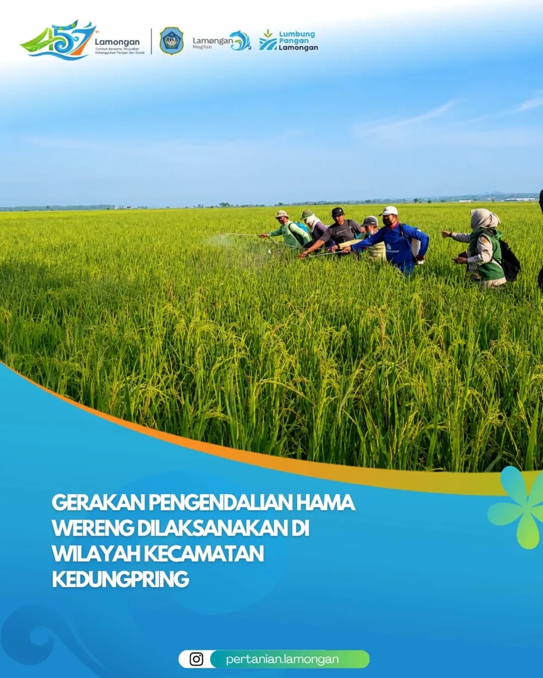 Foto: Gerakan Pengendalian Hama Wereng Dilaksanakan di Wilayah Kecamatan Kedungpring