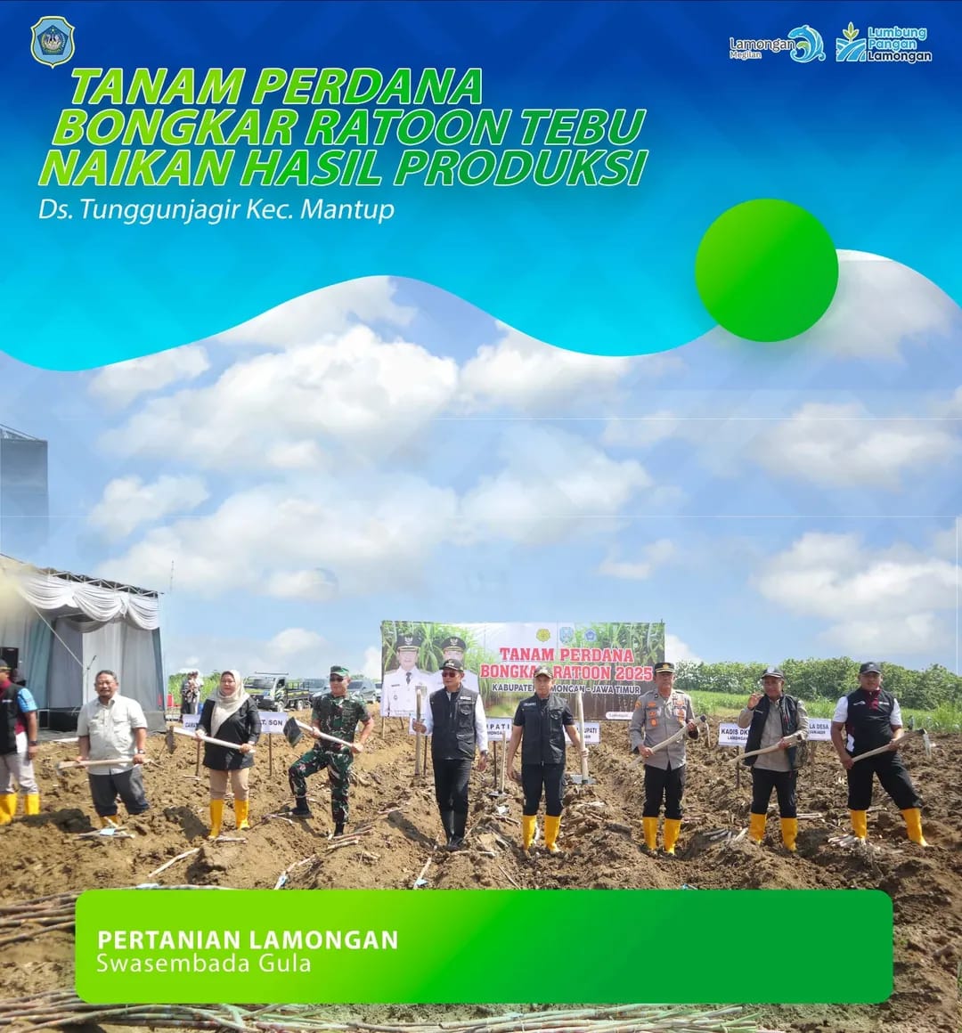 Foto: TANAM PERDANA BONGKAR RATOON TEBU NAIKKAN HASIL PRODUKSI