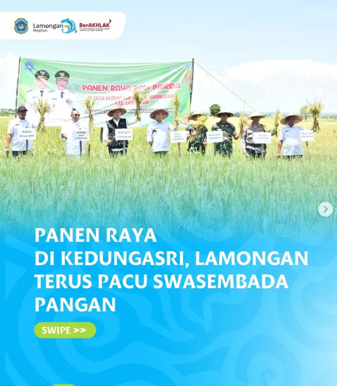 Panen Raya di Kedungasri, Lamongan Terus Pacu Swasembada Pangan