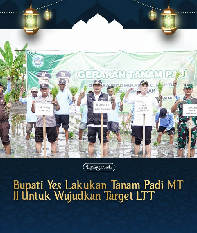 Bupati Lamongan Yuhronur Efendi lakukan tanam padi musim tanam kedua (MT II), Rabu (12/3) di Desa Sidomulyo Kecamatan Mantup pagi ini.