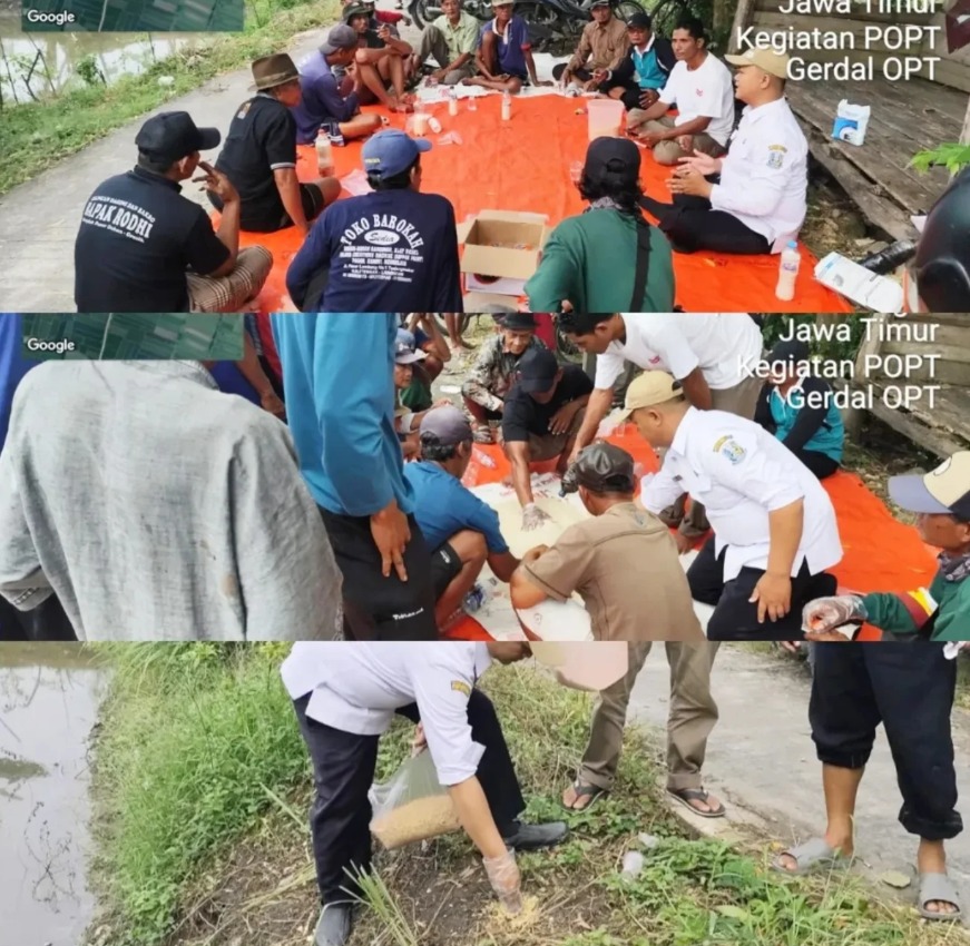 GERDAL OPT TIKUS DI KECAMATAN KARANGBINANGUN