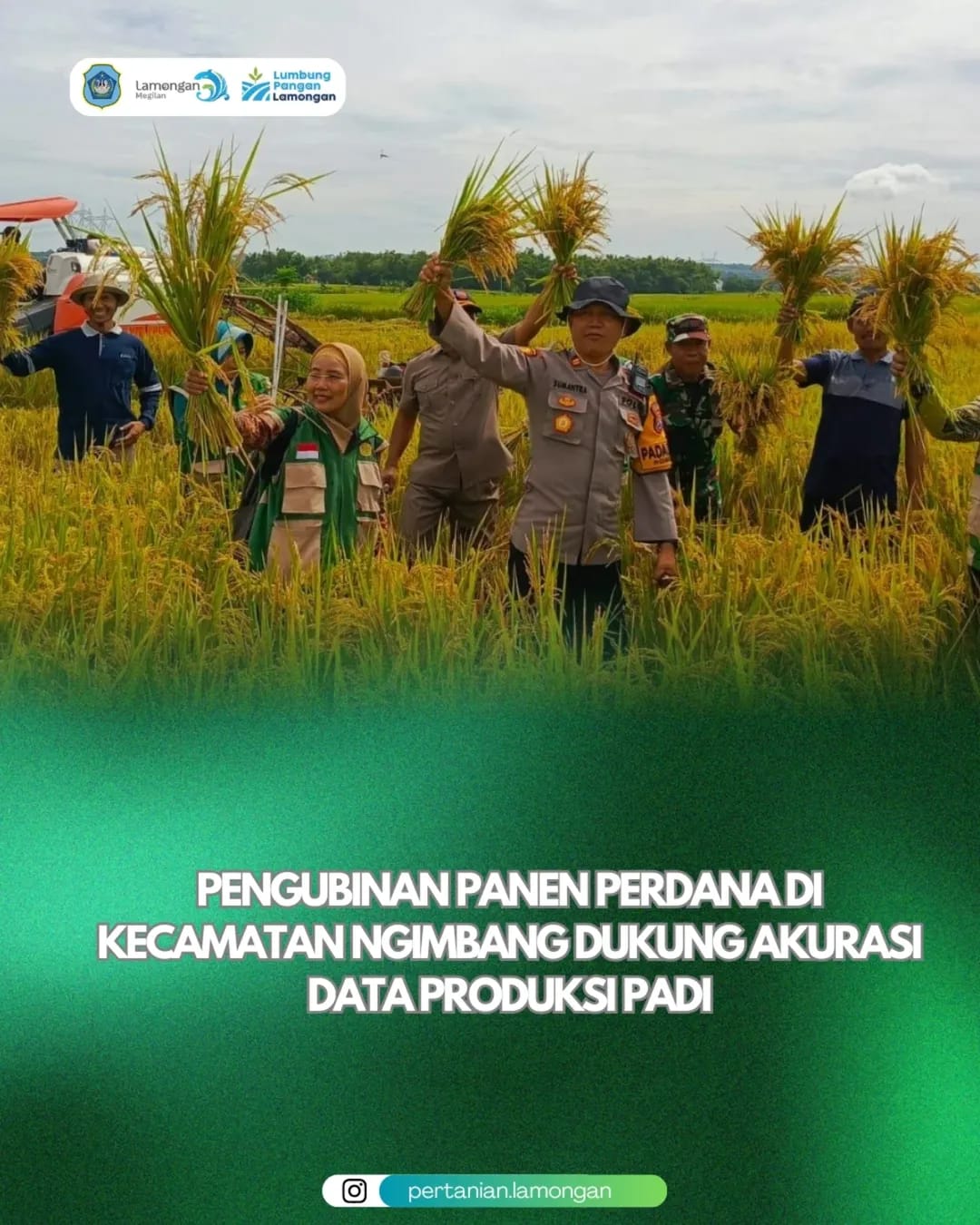 Foto: Pengubinan Panen Perdana di Kecamatan Ngimbang Dukung Akurasi Data Produksi Padi