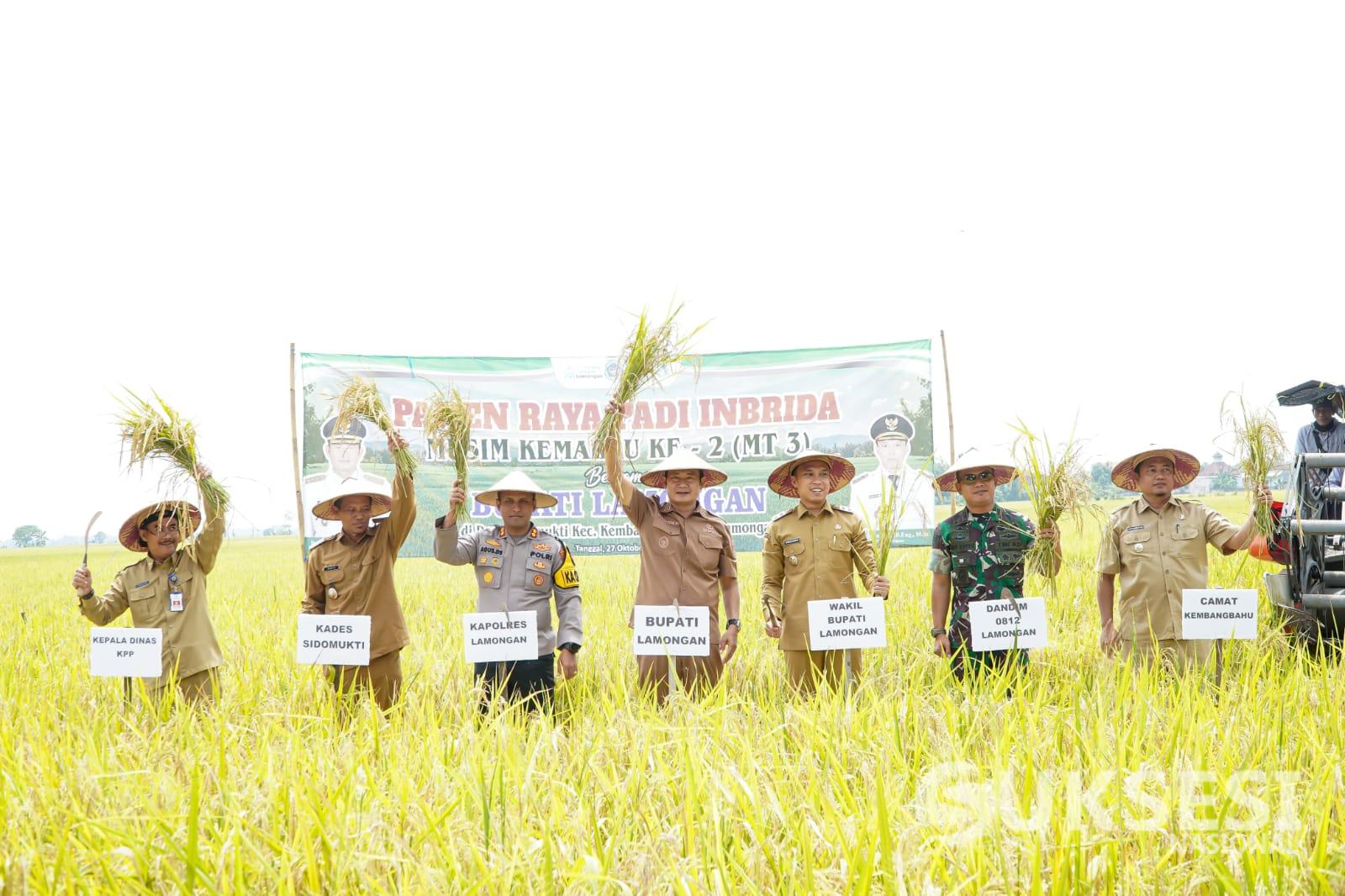 Foto: KABUPATEN LAMONGAN JADI DAERAH DENGAN PRODUKSI PADI TERTINGGI DI JAWA TIMUR