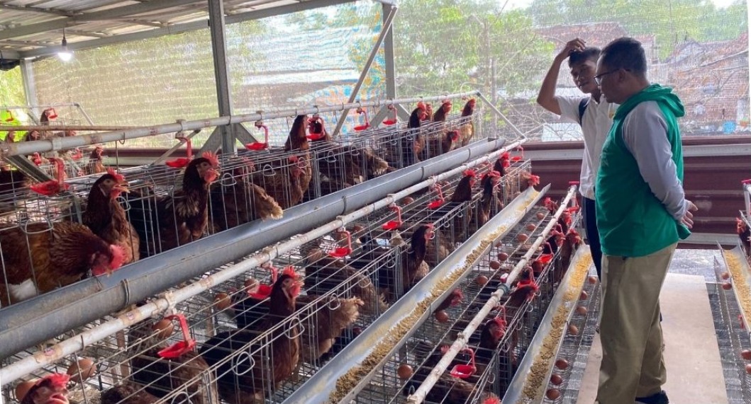 Foto: KOORDINASI KETAHANAN PANGAN TEMATIK AYAM PETELUR DESA WARUWETAN