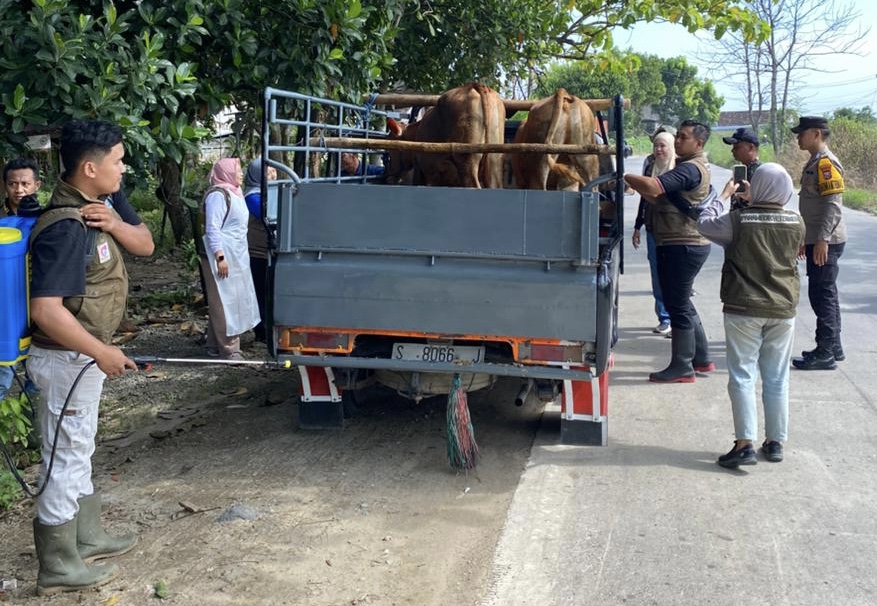 Foto: Jelang Idul Adha, Polisi dan Dinas Peternakan Perketat Pengawasan Ternak di Perbatasan Lamongan-Jombang