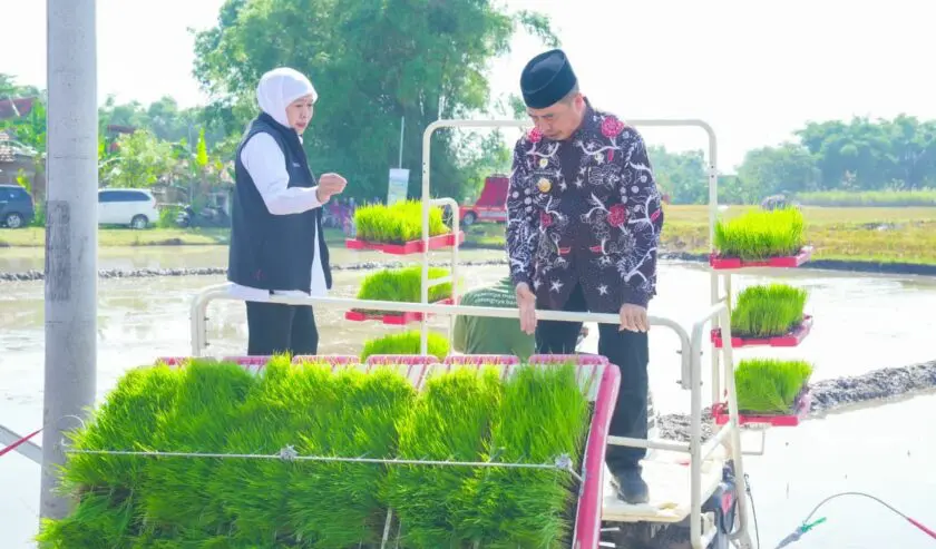 Foto: KHOFIFAH PACU PERCEPATAN TANAM PADI, PRODUKSI JATIM DITAGET NAIK 5 PERSEN