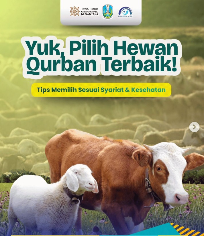 Foto: YUK PILIH HEWAN QURBAN TERBAIK ANDA!