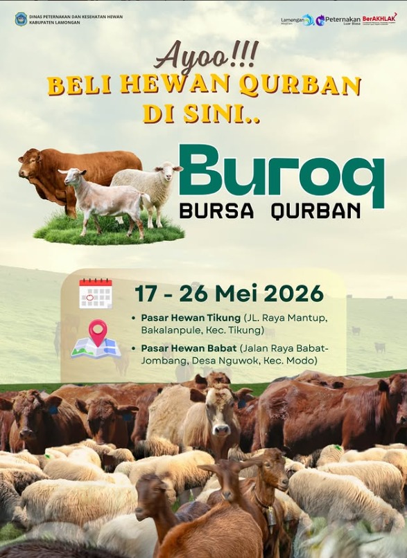 Foto: AYO!!! BELI HWAN QURBAN DI SINI...