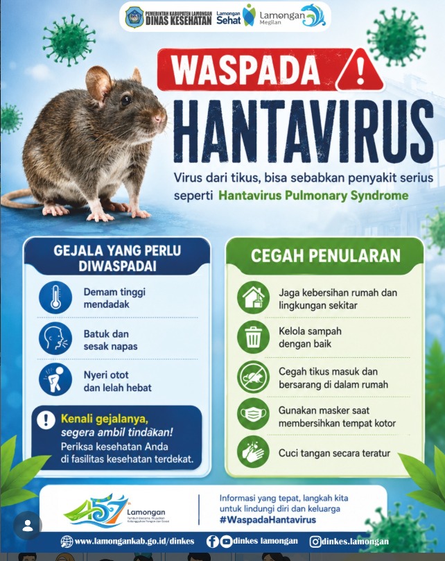 Foto: WASPADA HANTAVIRUS! KENALI GEJALA DAN CEGAH PENULARANNYA