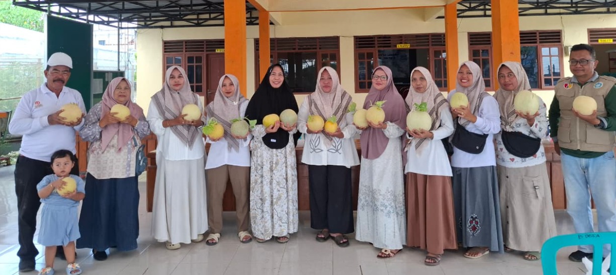 Foto: PROGRAM KETAHANAN PANGAN BUDIDAYA MELON BUMDES KECUK MAKMUR SENTOSA DESA SE-WILAYAH KECAMATAN PUCUK