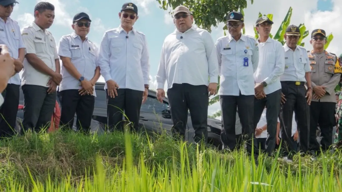 Foto: Kementan Apresiasi Optimisme Petani Lamongan Tetap Tanam Meski Terancam El Nino