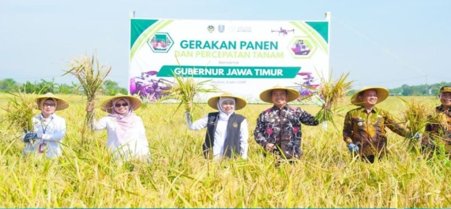 Foto: Gubernur Jawa Timur Khofifah Pacu Panen di Madiun, Produksi Padi Jatim Naik 5 Persen