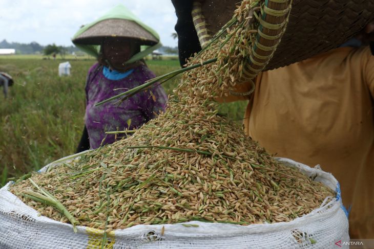 Foto: Serapan gabah di Jatim