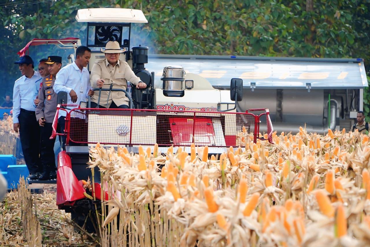 Foto: Bulog Serap Hasil Panen Raya Jagung Kuartal II, Perkuat Sinergi dengan Polri untuk Swasembada Pangan Berkelanjutan